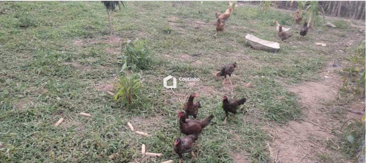 WhatsApp Image 2026-04-20 at 15.51.02 (2).jpeg